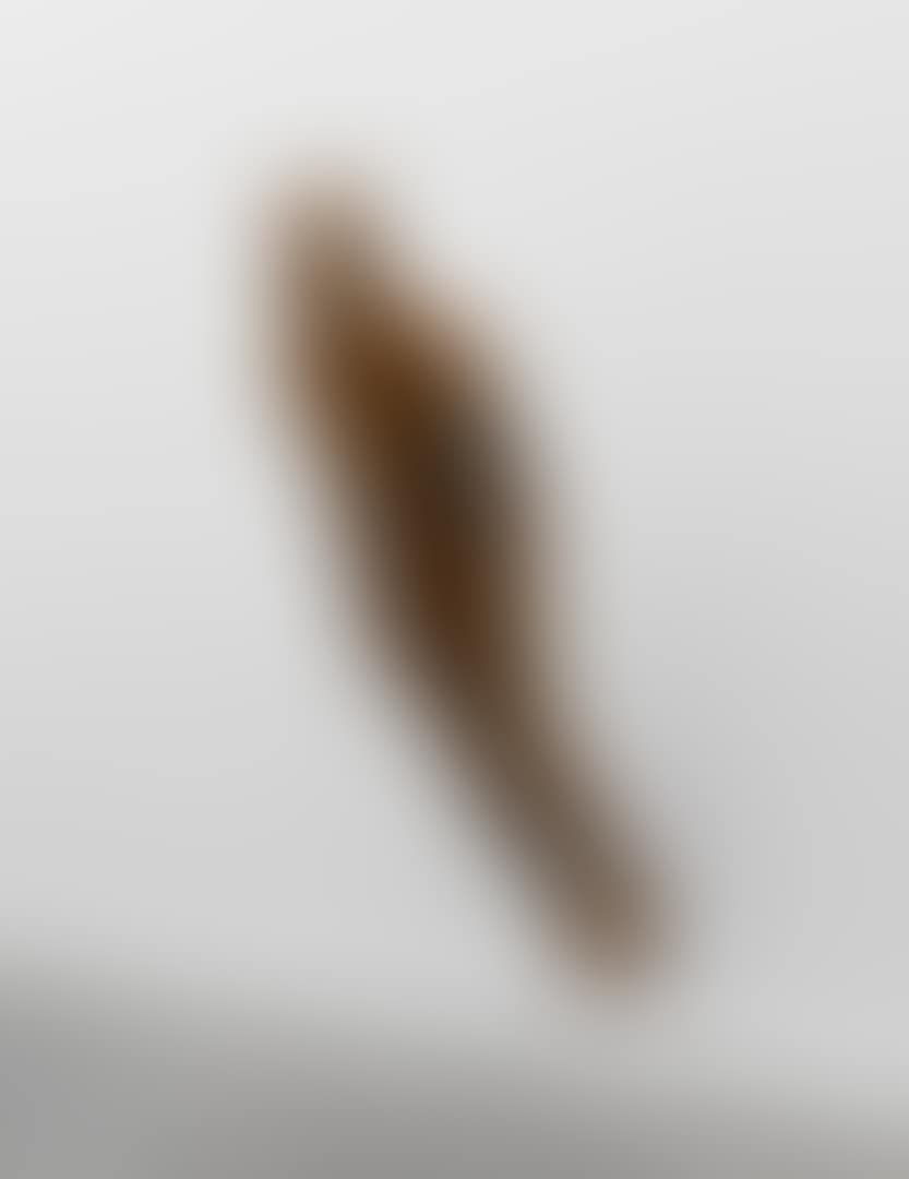 LEVER II (preview)