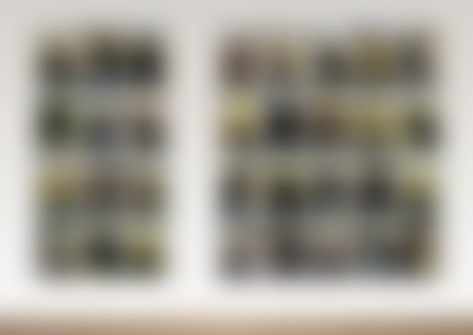 THE FAULT SERIES (preview)