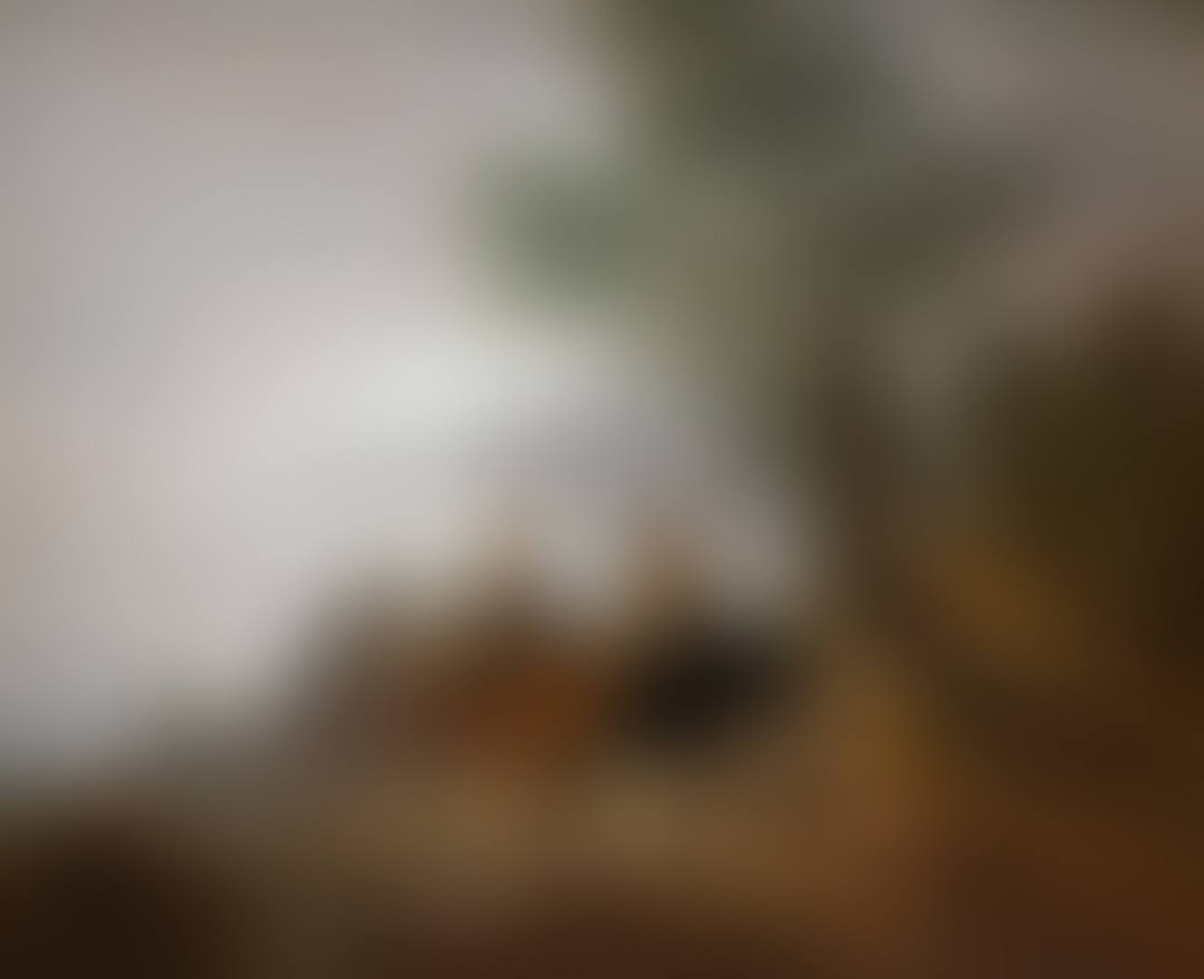 GOING TO MARKET, EARLY MORNING (preview)