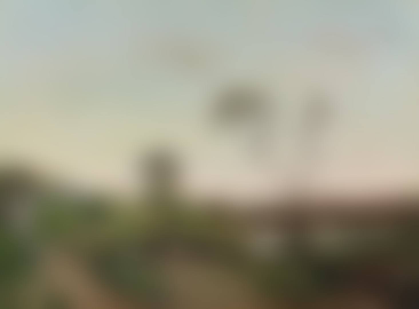 A sandy track in summer (preview)
