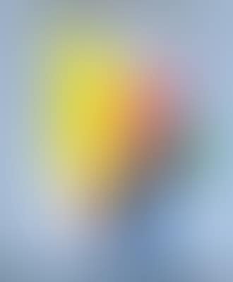 Composizione (preview)