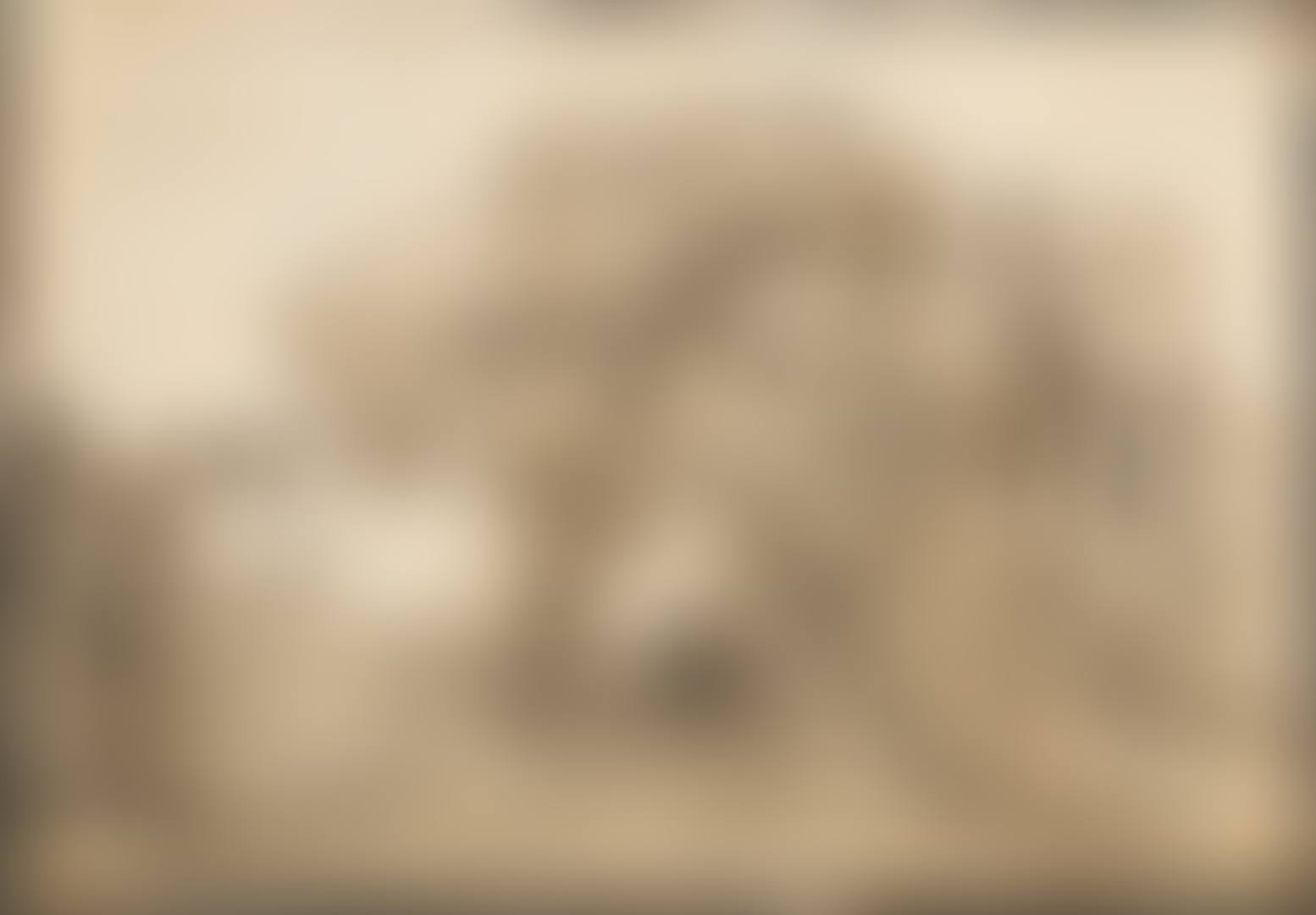 A carriage on a road flanked by trees (preview)