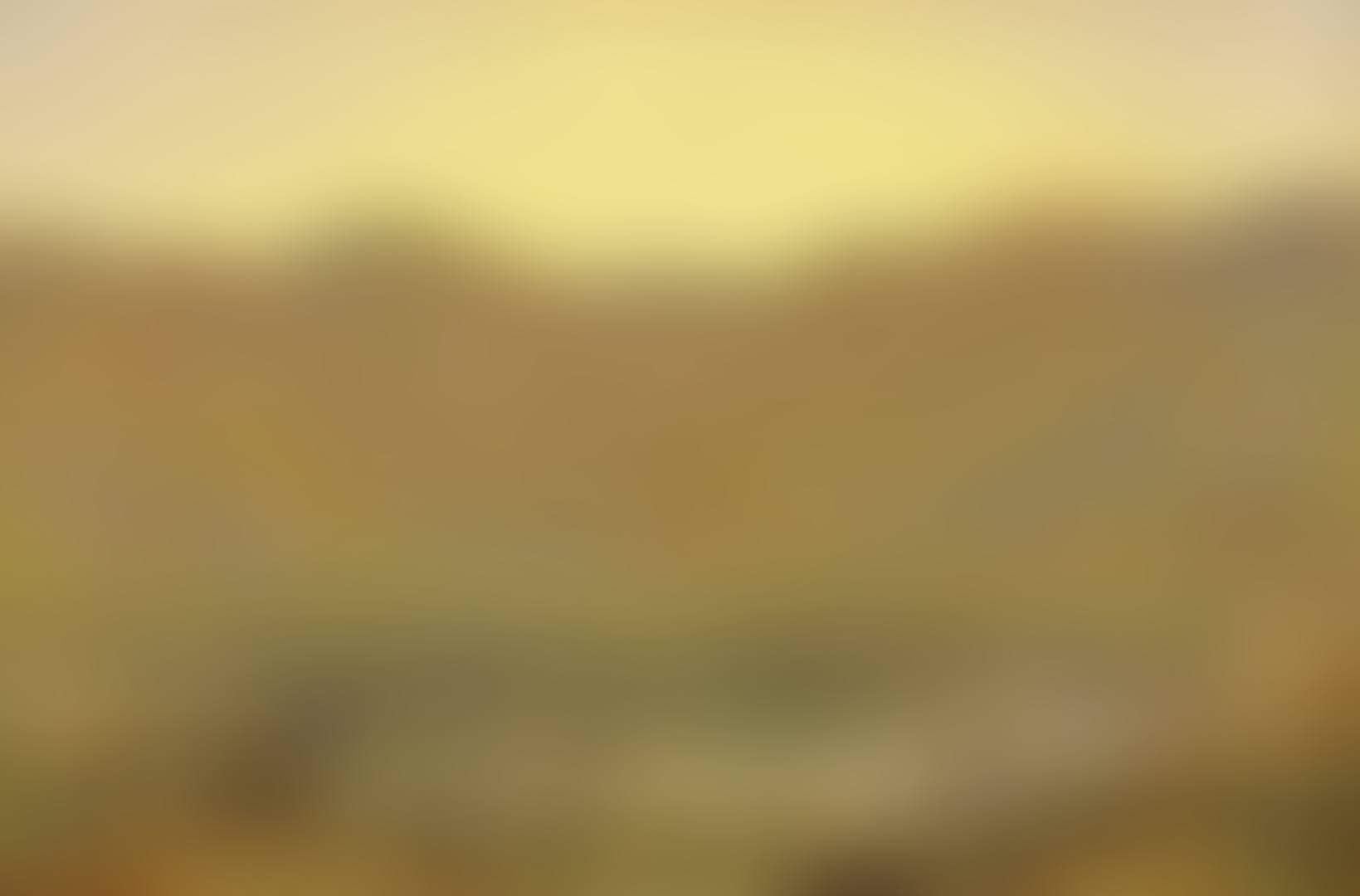 Sun-dip, the home of the heron (preview)