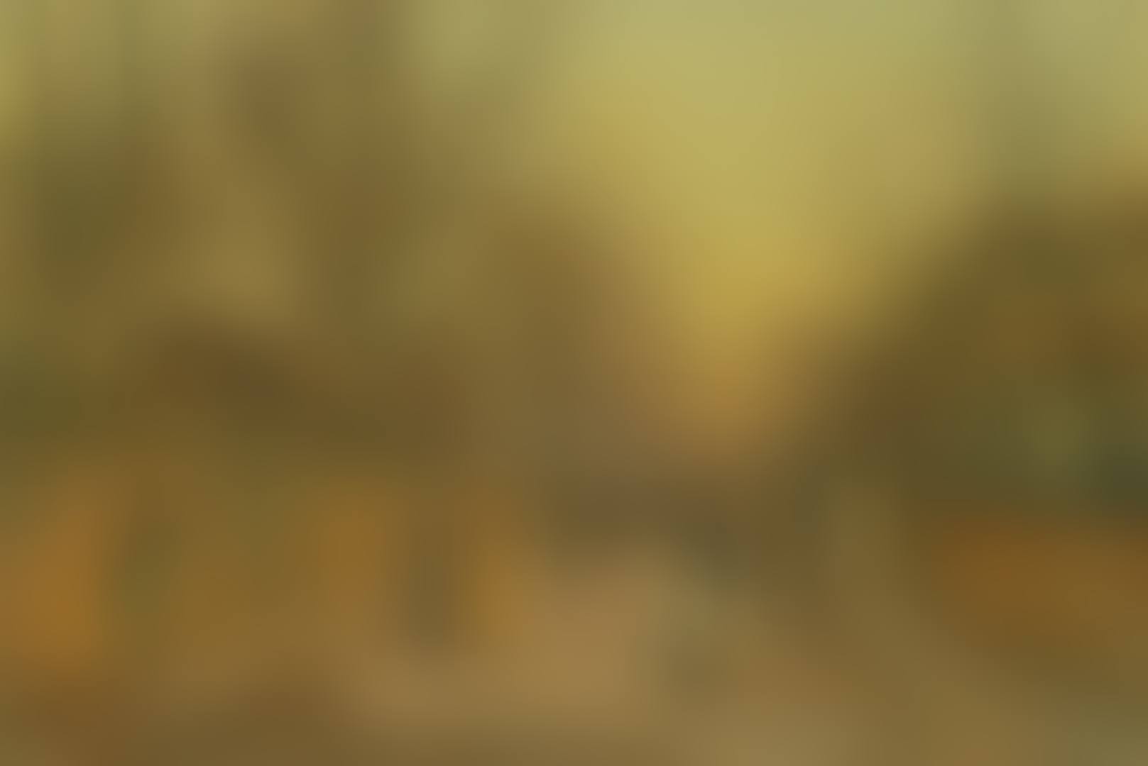 A Salutation (preview)