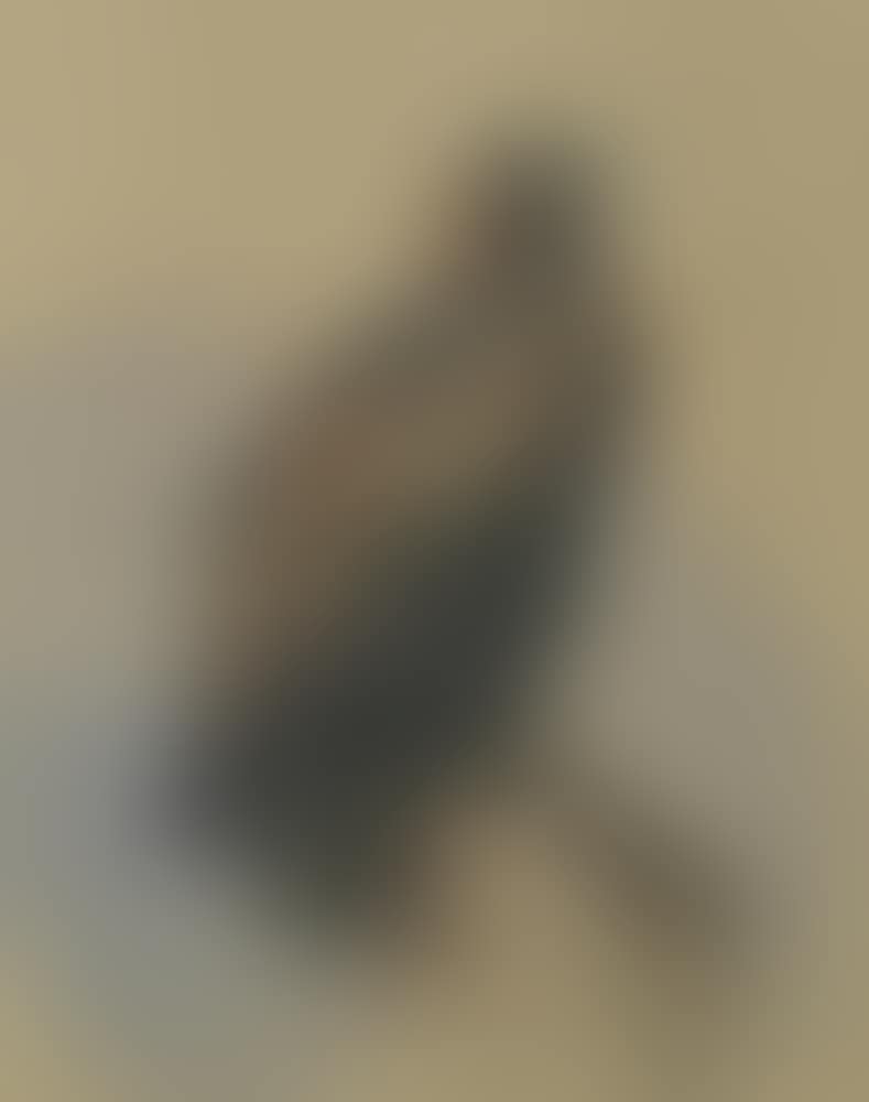 Golden Eagle (preview)