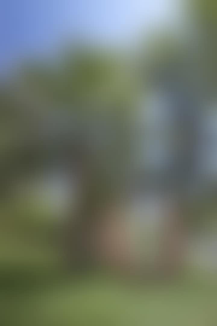 223.5 ° Arcs X 5 (preview)