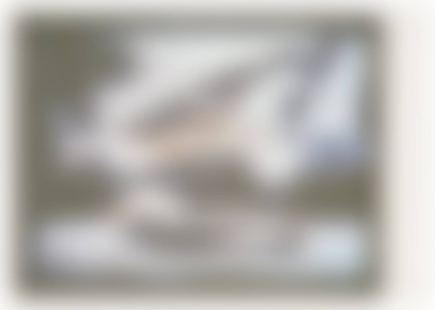 Kent State (preview)