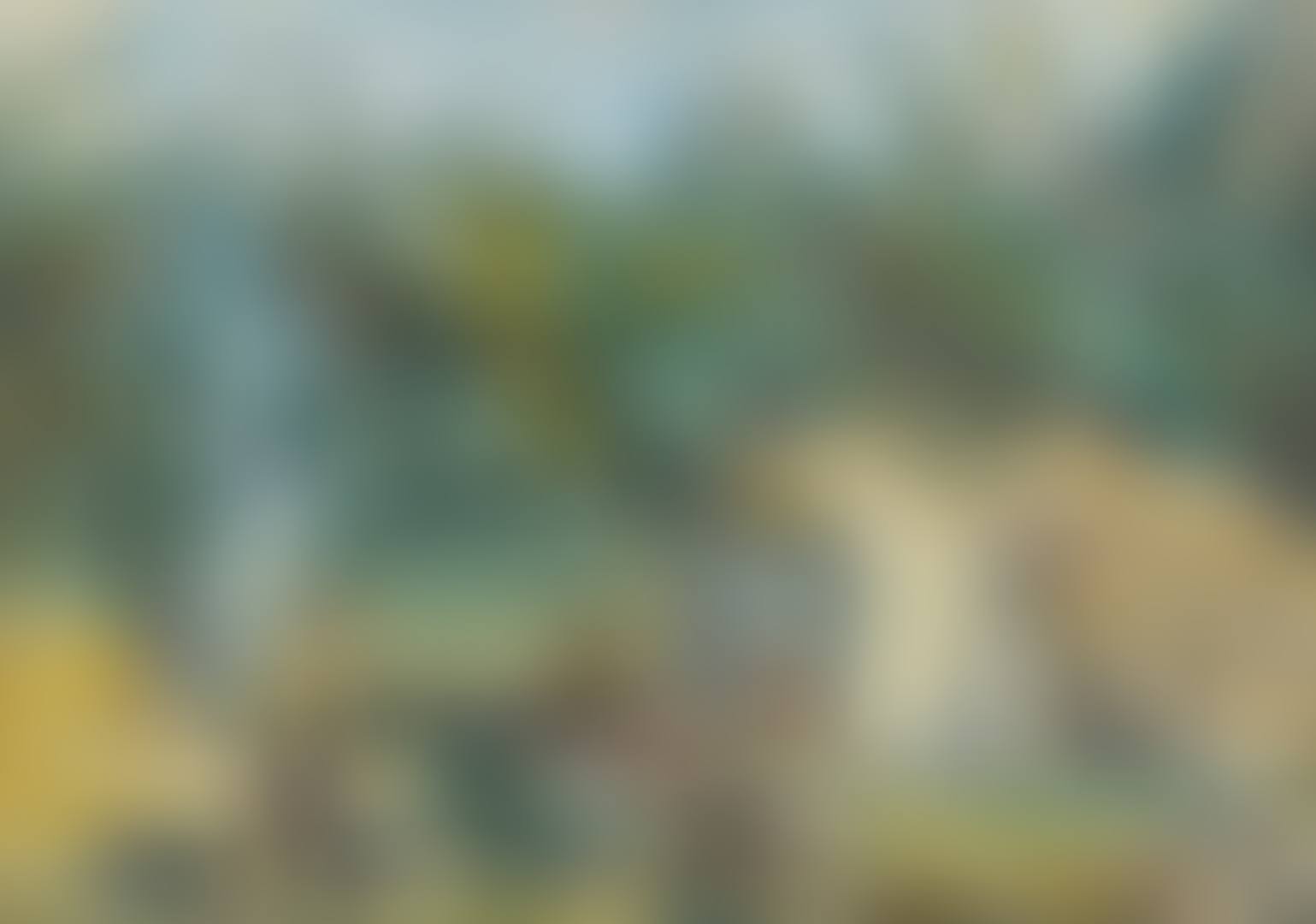 The Gypsy Encampment (preview)