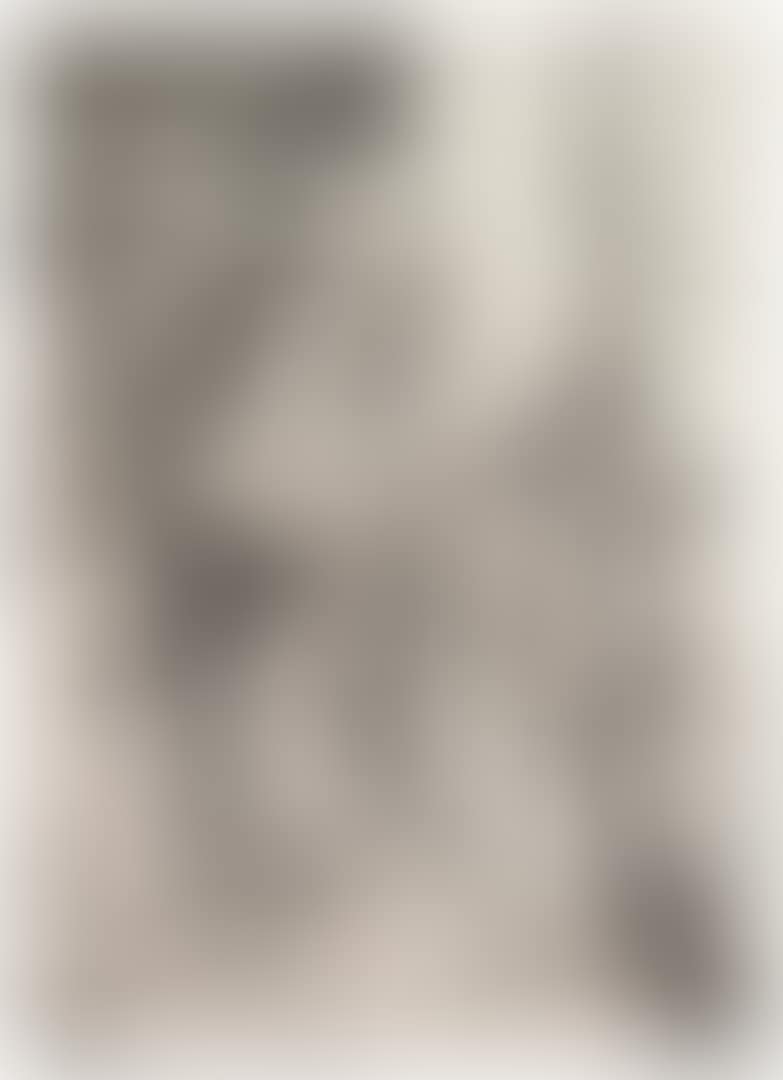 The Raising of Lazarus (preview)