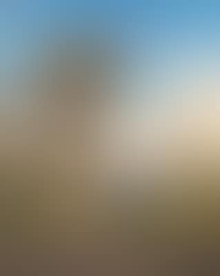 The Bay of Naples as seen from Posilippo (preview)