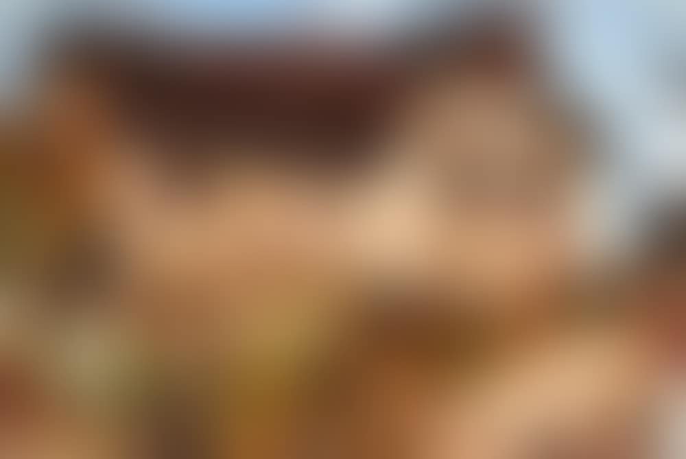 The Rock House (preview)