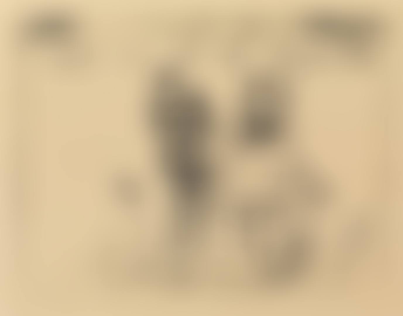 Karneval V (preview)
