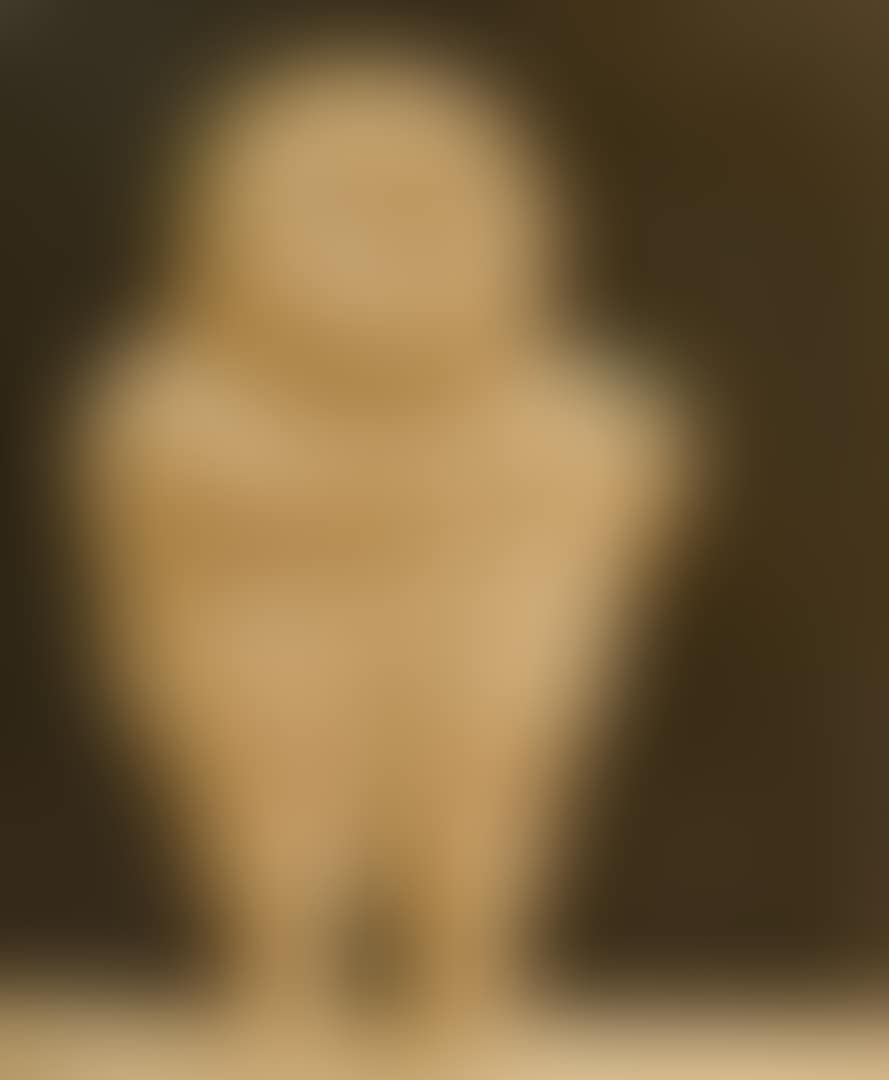 Niño con un pájaro (preview)