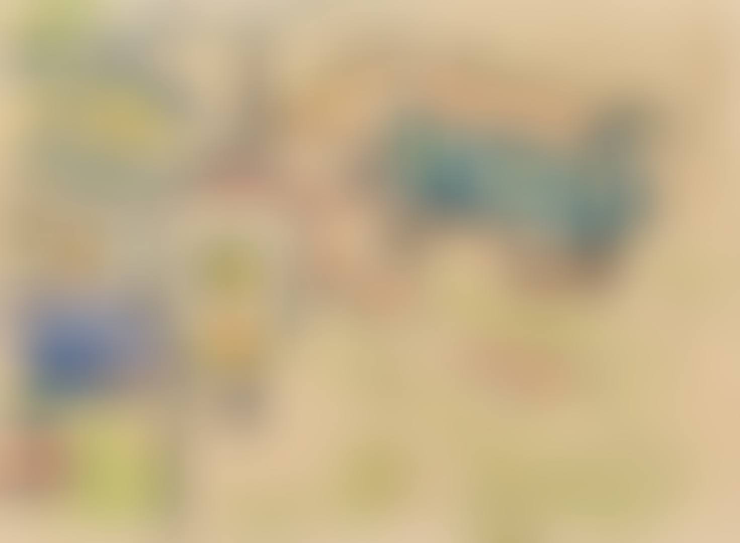 Zigeunerwagen (preview)