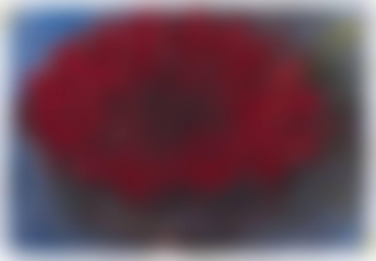 Rote Blüte (preview)