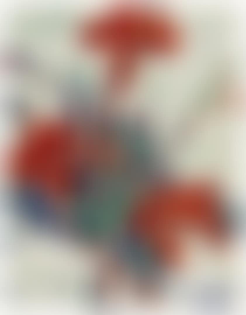 Canna indica (preview)