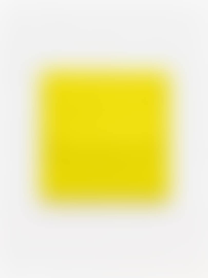 Untitled (Quattro ovali gialli) (preview)