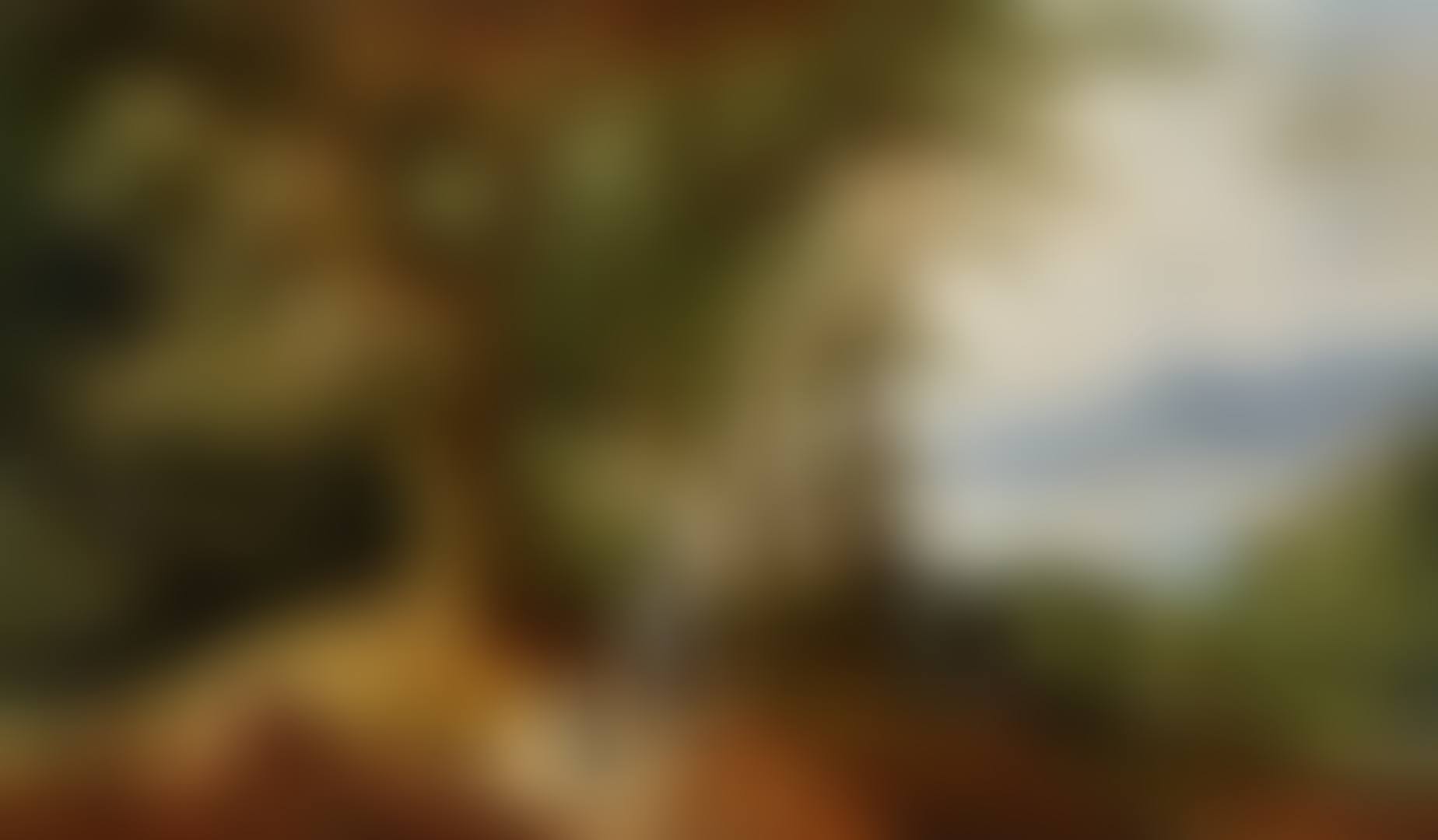 Wooded Landscape with Hunters (preview)