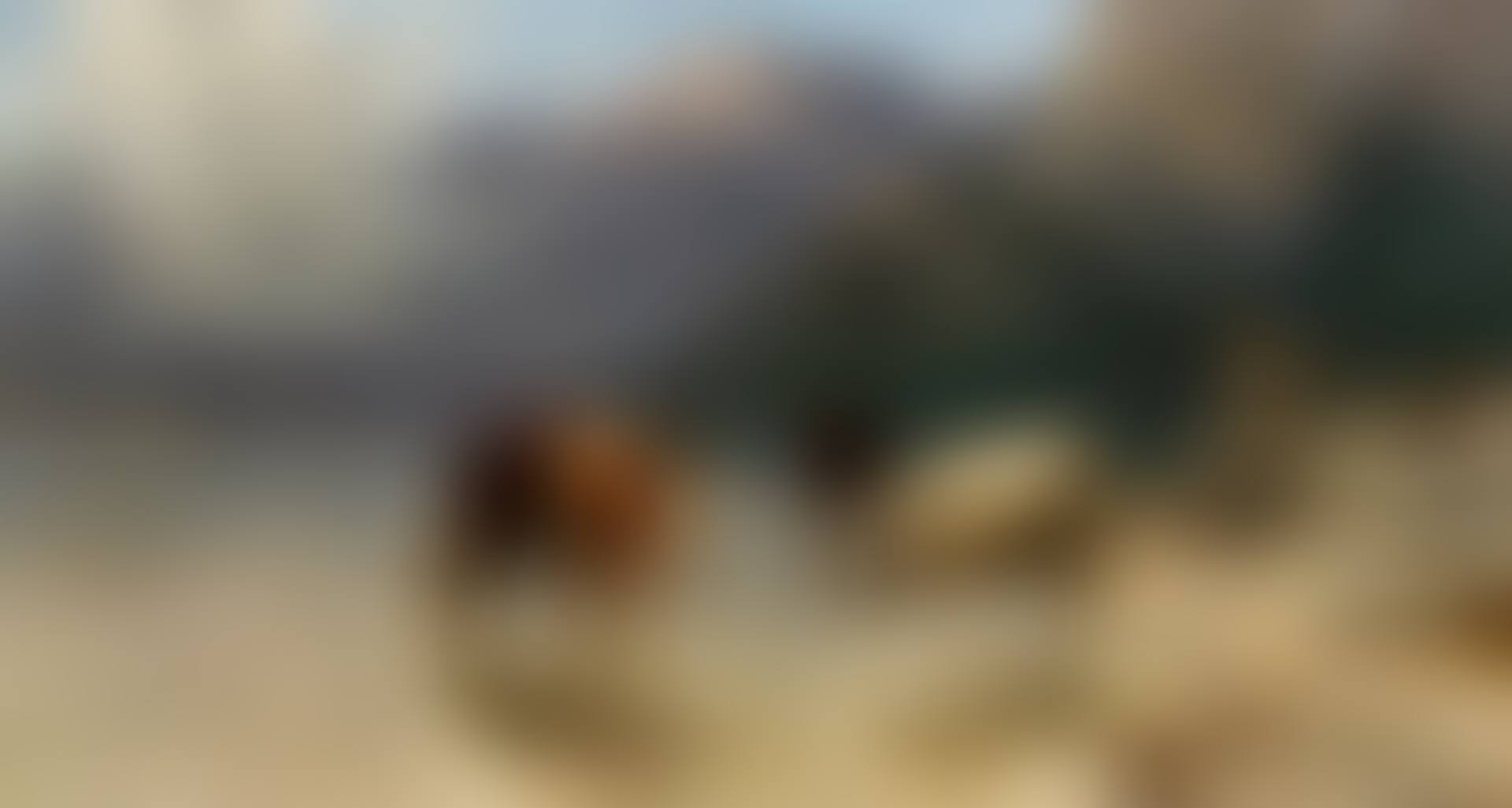 A Cowherd on the Banks of Achen Lake (preview)
