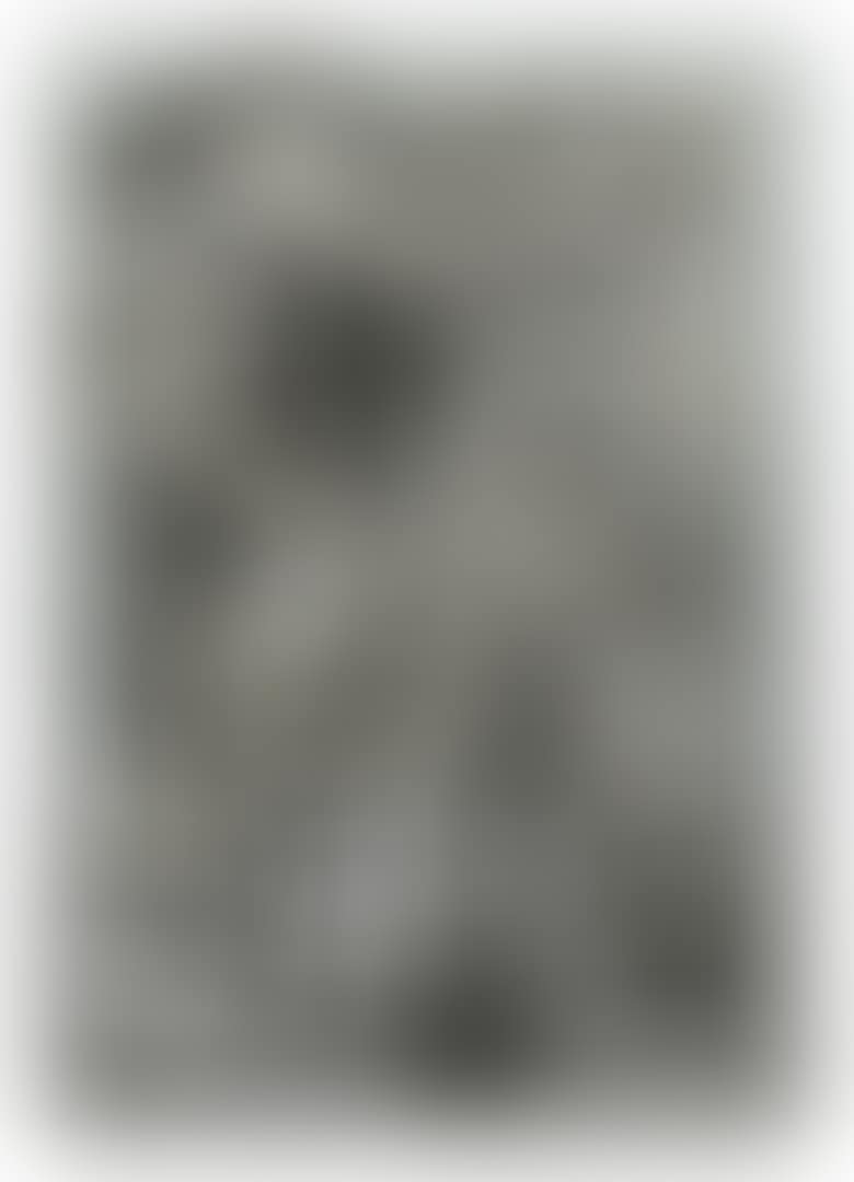 RIALLARO (BLACK AND WHITE) (AXSOM 232A) (preview)