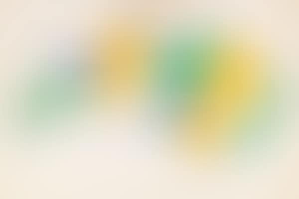 Motivo per ricamo giallo, verde e cobalto (preview)
