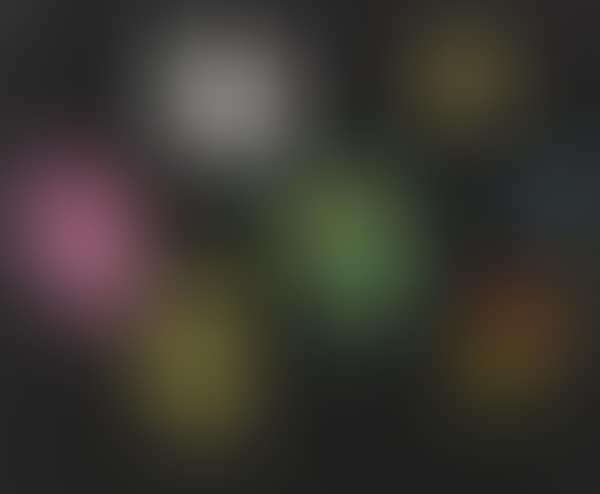 Composizione (preview)