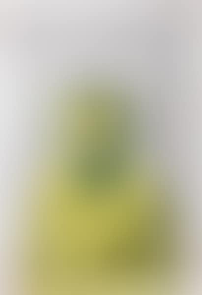 Autoritratto (preview)