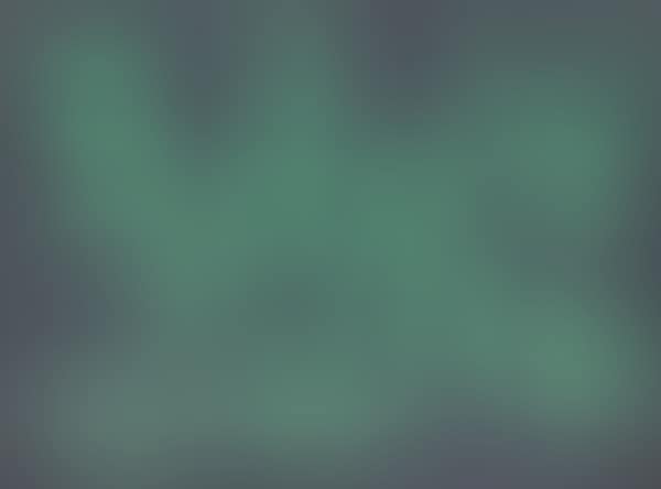 Verde su grigio (preview)