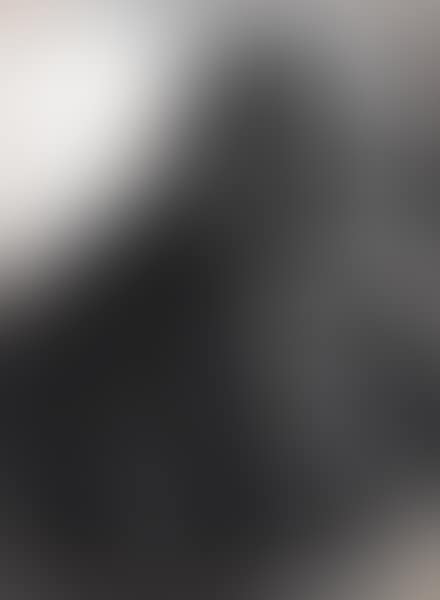 Il Presidente del Consiglio Alessandro Fortis (preview)