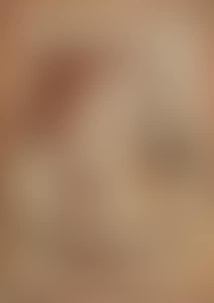 Profili (preview)
