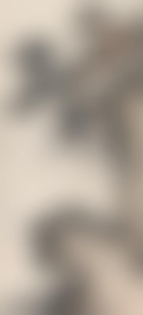 Landscape (preview)