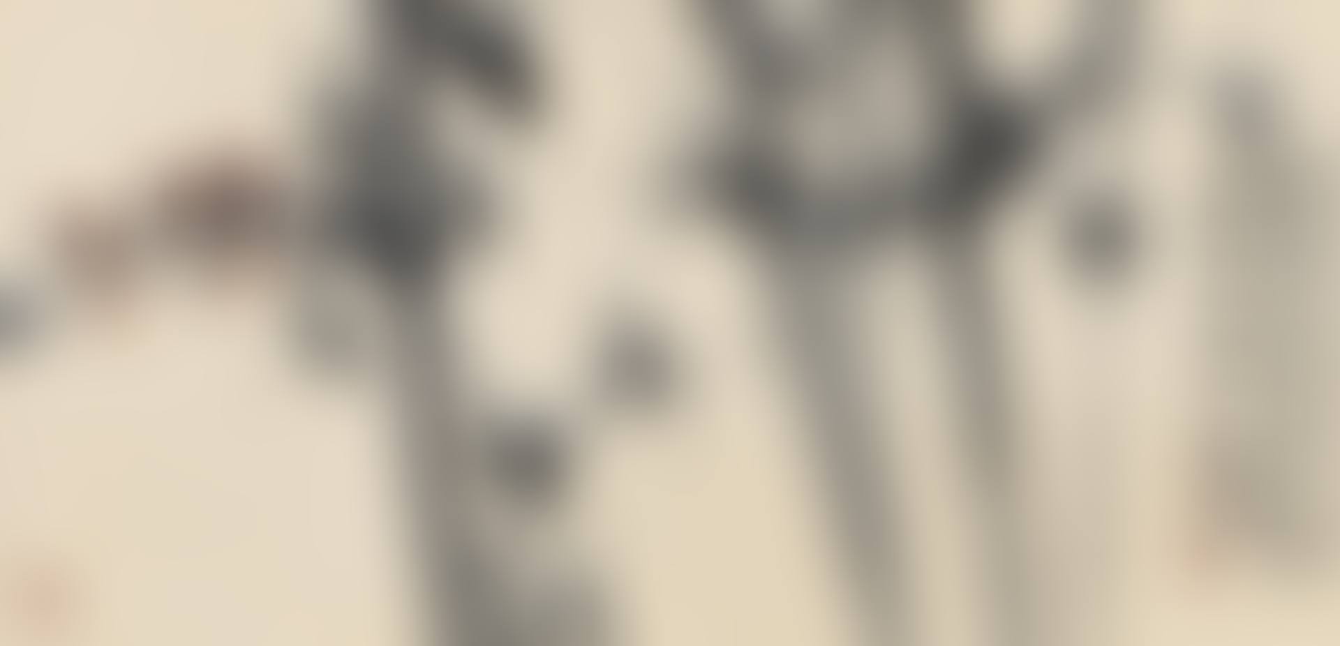 Sparrow (preview)