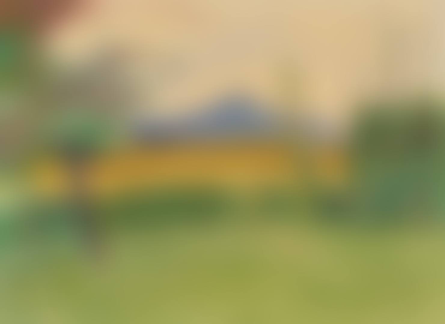 Auf der Oschwand (preview)