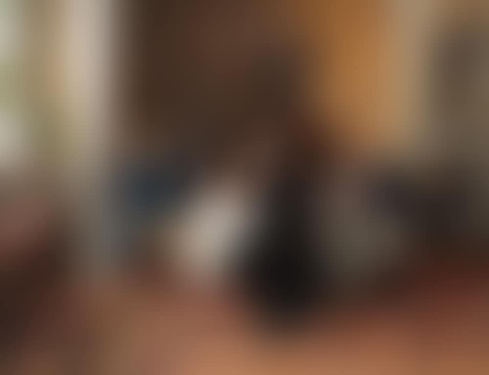 Le commencement de la fin (preview)
