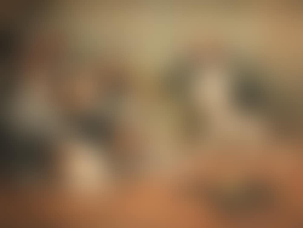 Five hounds and a dipper of water (preview)