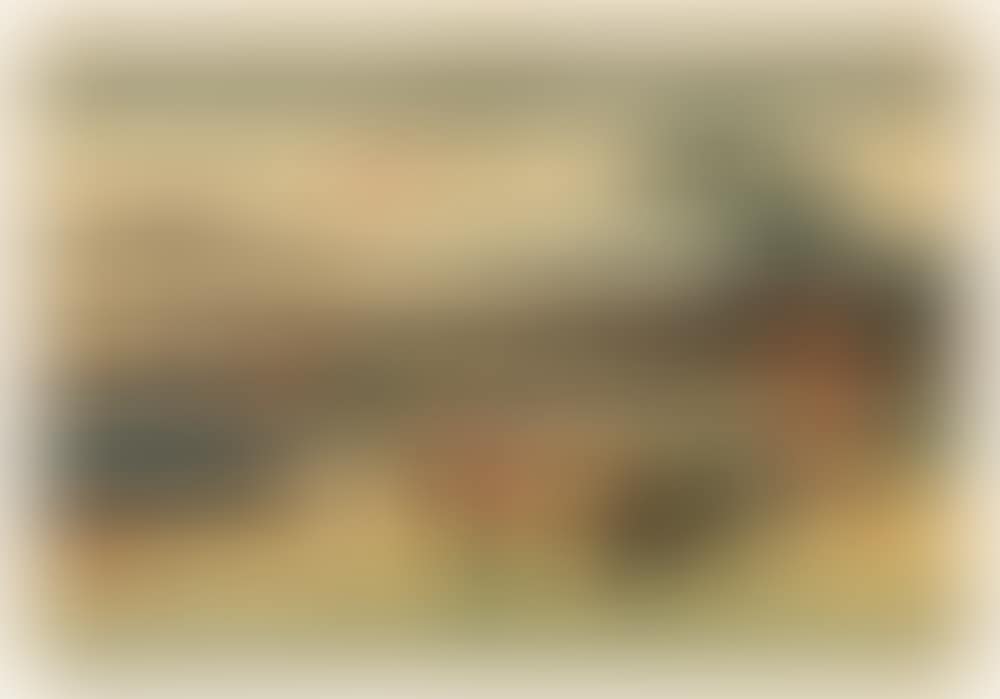 Echikawa (preview)