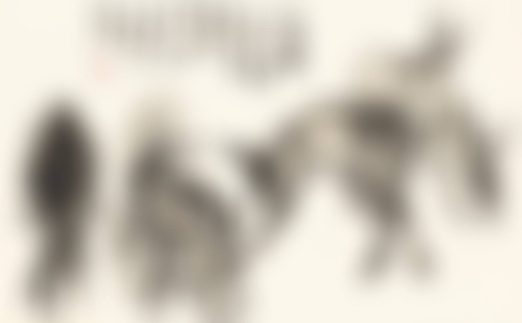 SIX DONKEYS (preview)