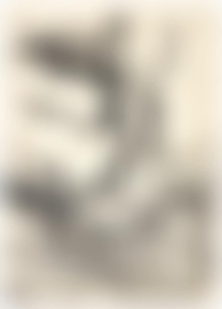 NEMESIS (B. 77; M., Holl. 72) (preview)