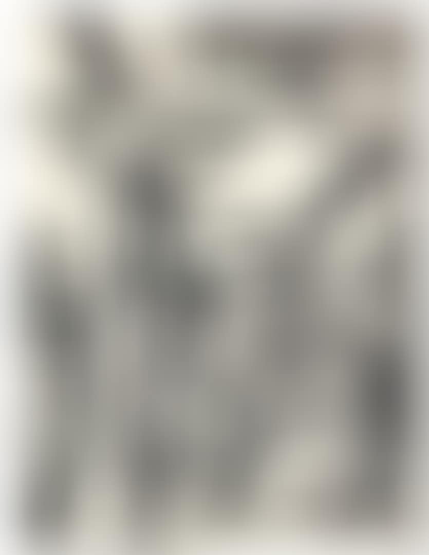 THE ADORATION OF THE MAGI (B. 3; M., HOLL. 208) (preview)