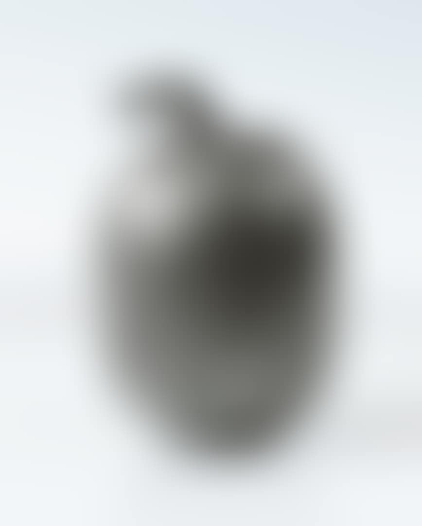 COLOQUINTE (preview)