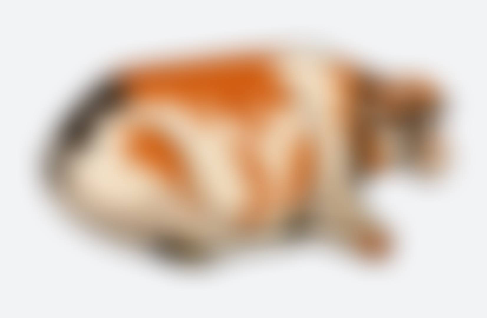 VACHE ROUSSE RUG (preview)