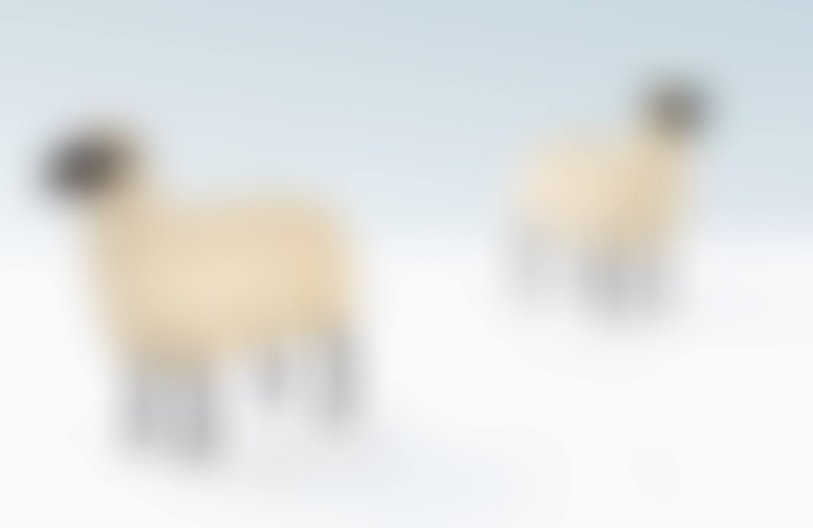 TWO MOUTONS DE PIERRE (preview)