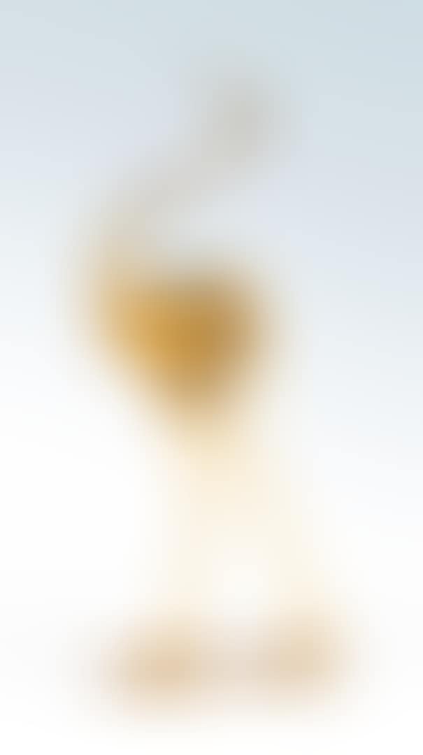 AIRONE (preview)