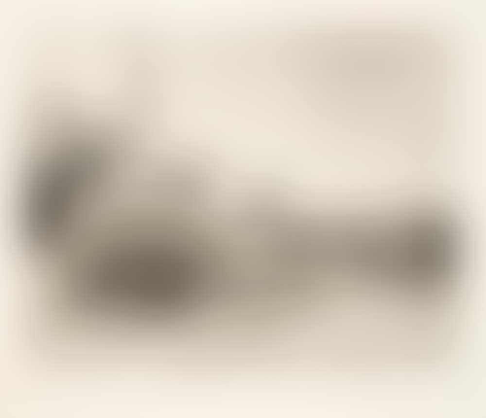 Desert Gravure (preview)