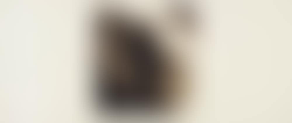 Untitled (Wave #9) (preview)