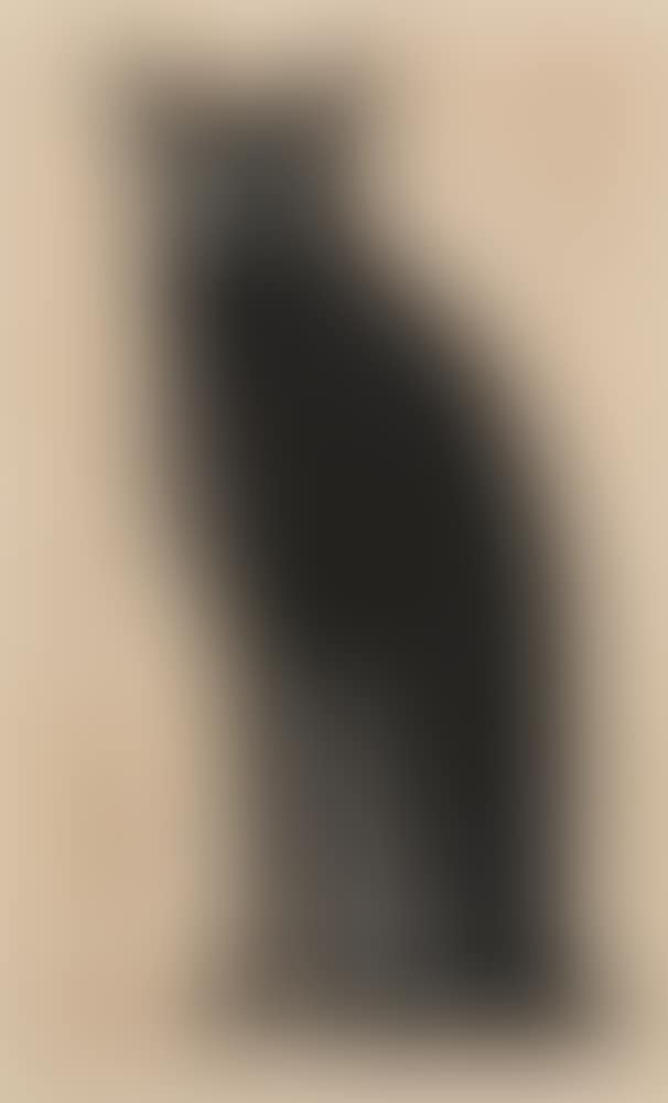 Seated Cat (preview)