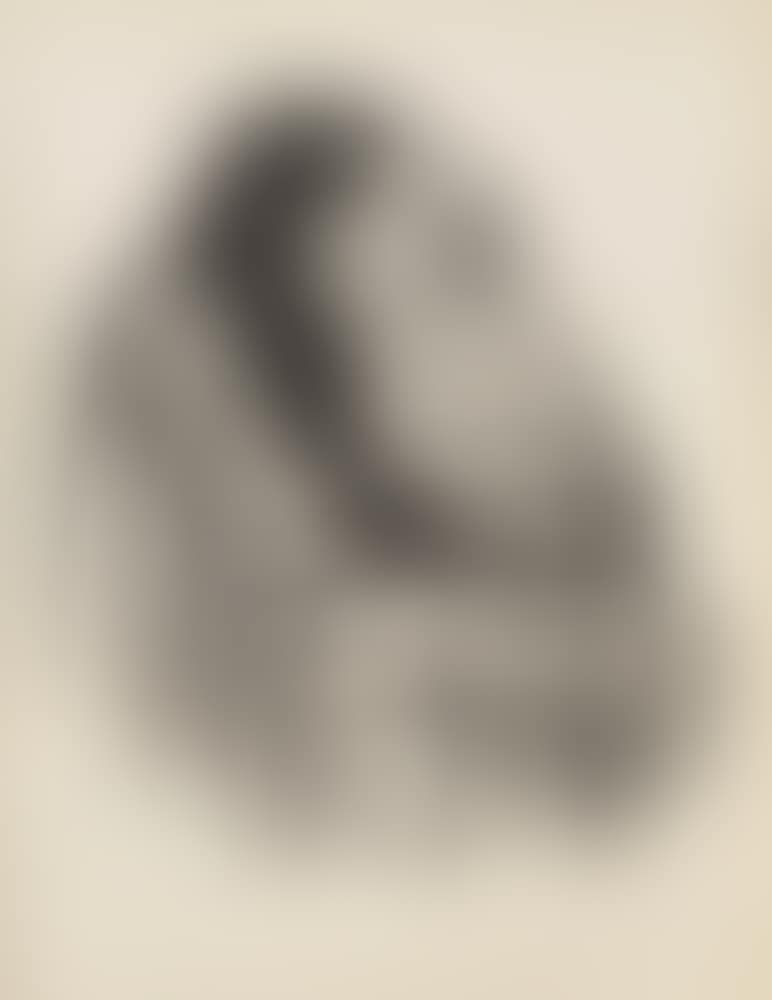 Young Girl in the Lap of Death, from the series Death (K. 257; Kn. 265) (preview)