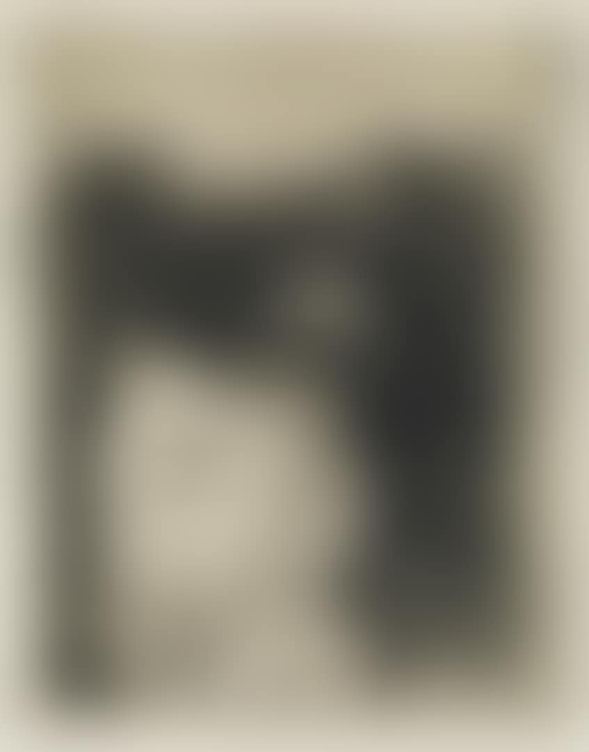 Portrait De Stéphane Mallarmé (preview)