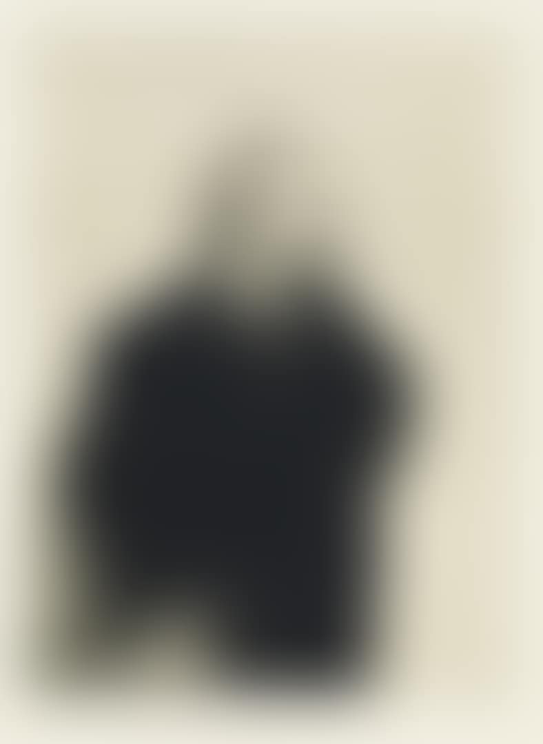 Portrait D'ernest Rousseau (preview)