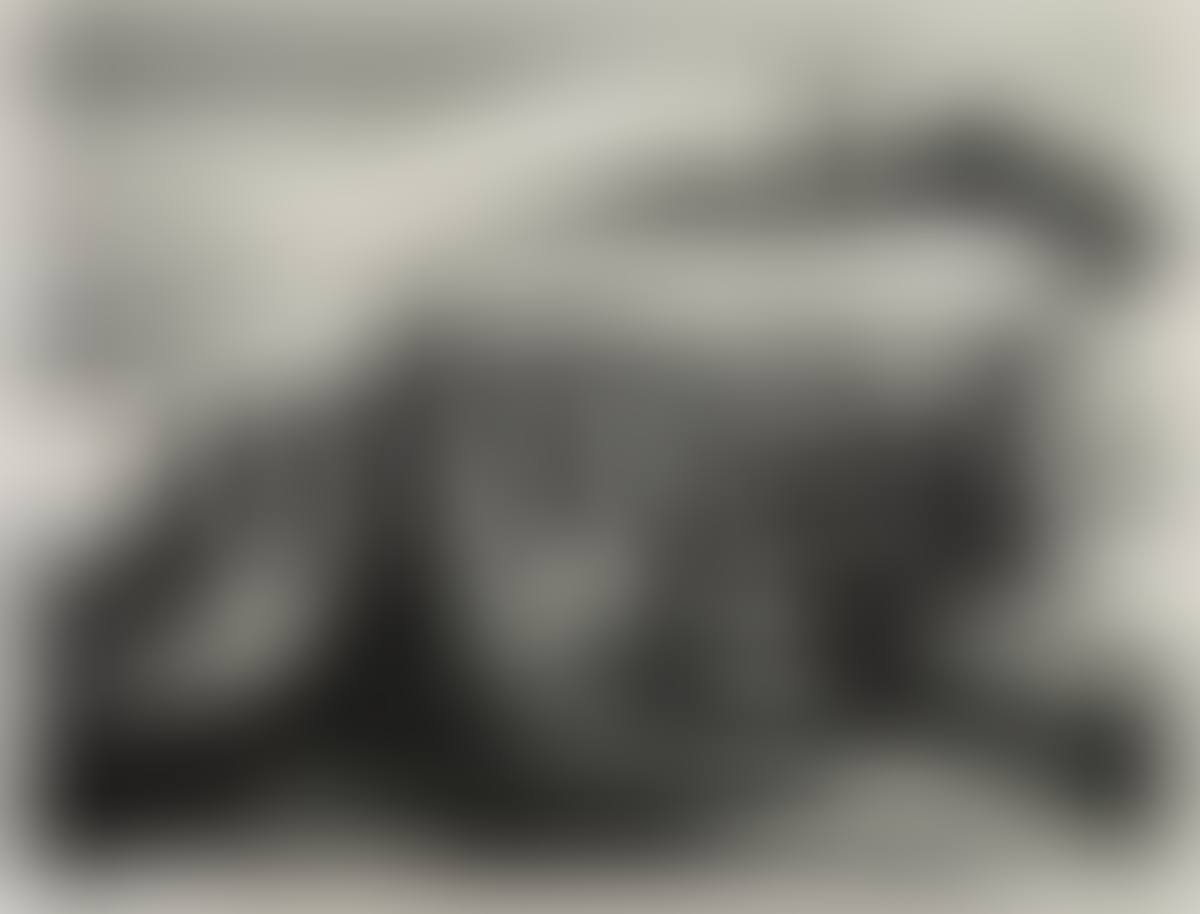 Loading Corn (preview)